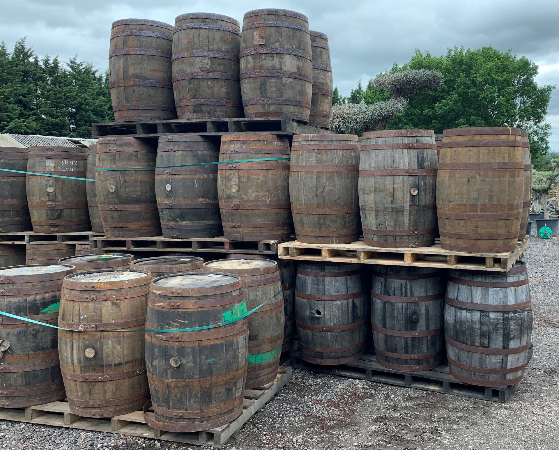 6 x OAK WHISKEY BARRELLS ON LARGE PALLET