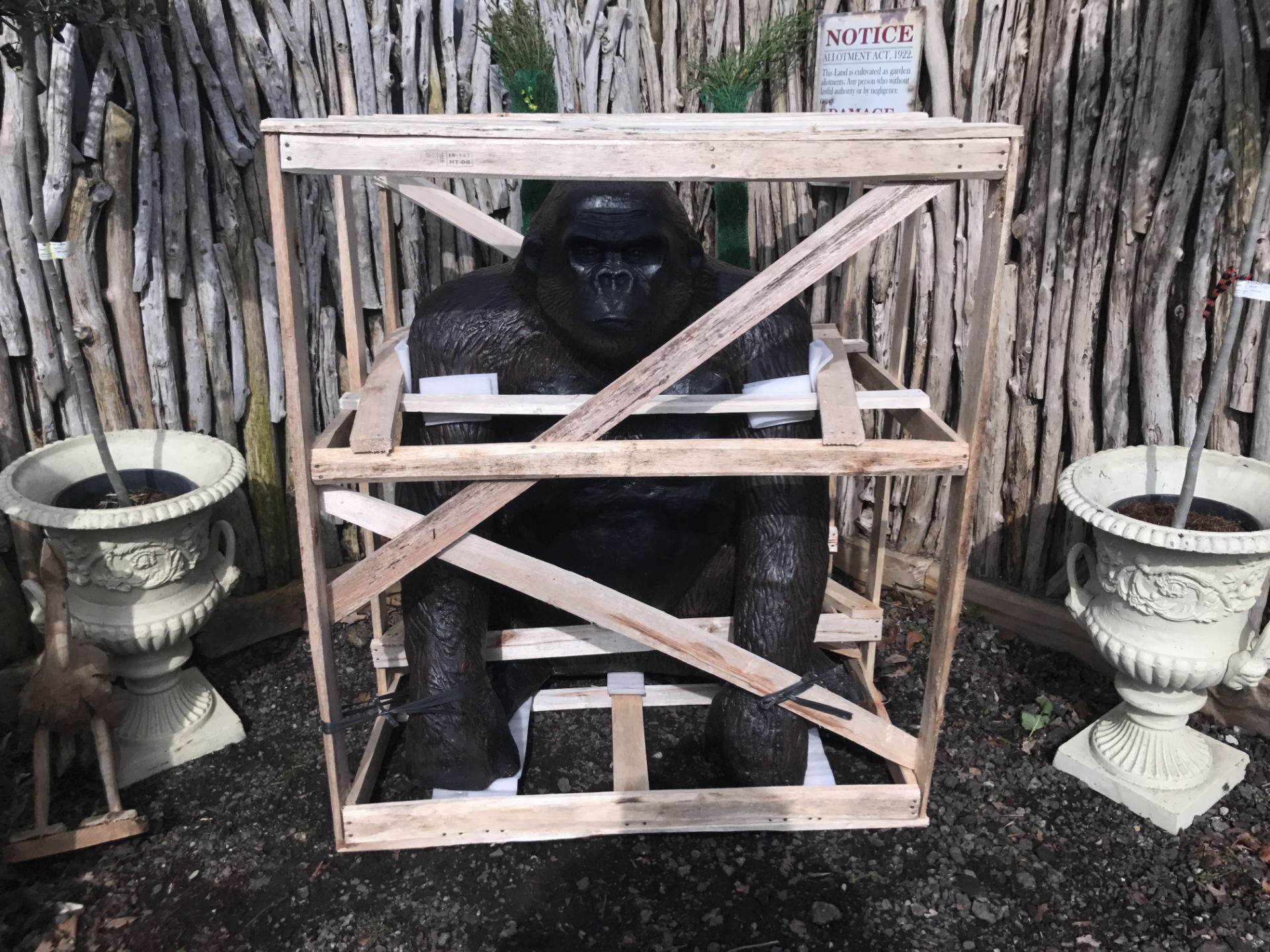 MASSIVE CRATED GORILLA STATUE