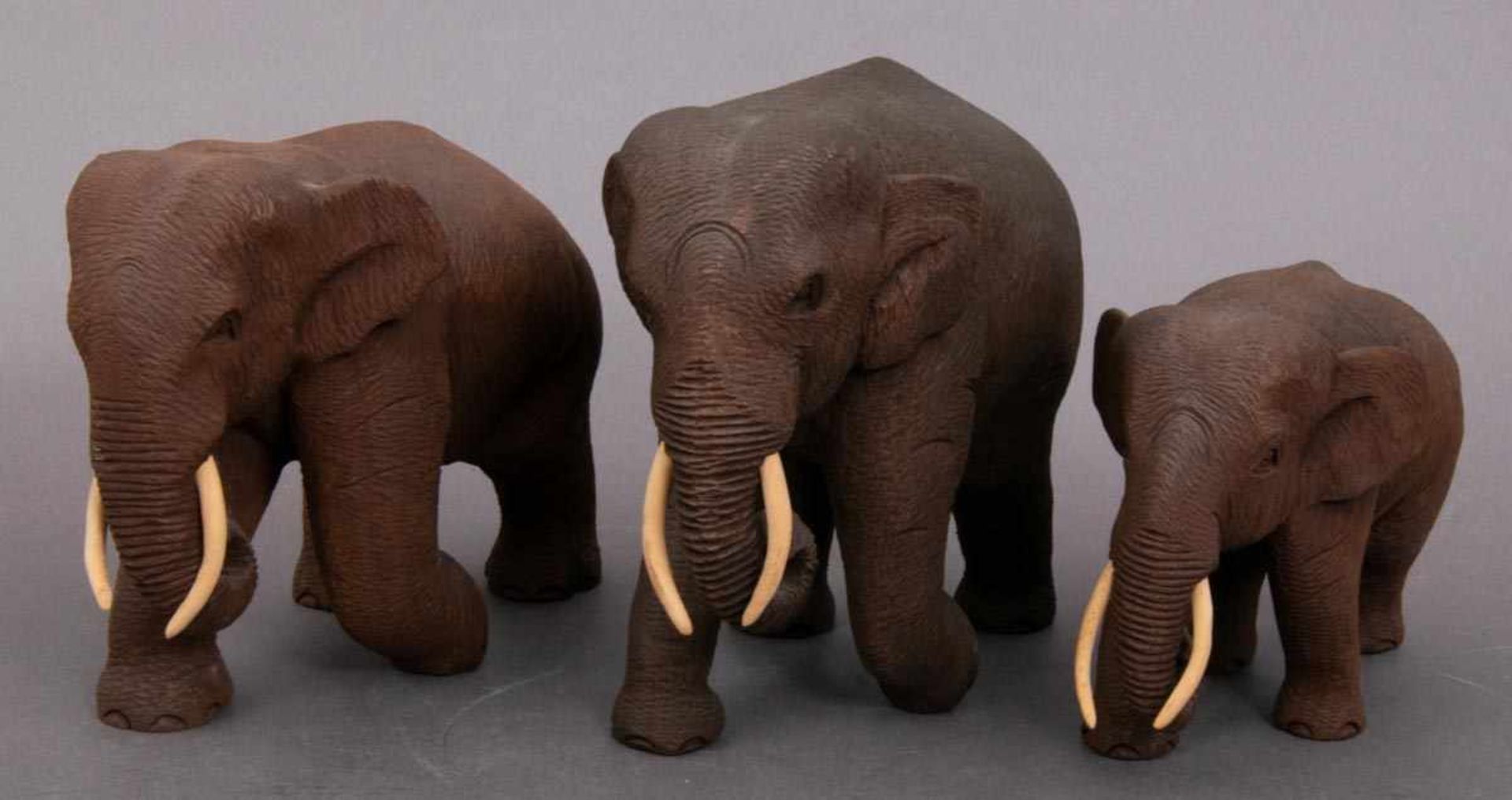 3 geschnitzte Elefanten, dunkles Hartholz, Stoßzähne aus Knochen/Bein. Max. Höhe ca. 15,5 cm, max.