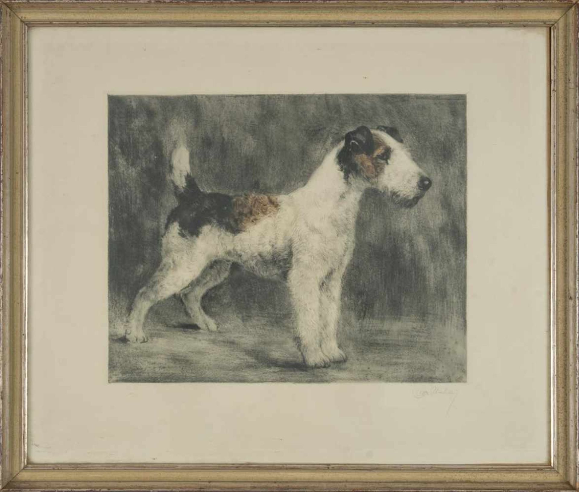 "Terrier". Hinter Glas gerahmte Radierung des Kurt Meyer-Eberhardt (Leipzig 1895 - 1977 München), - Bild 2 aus 5