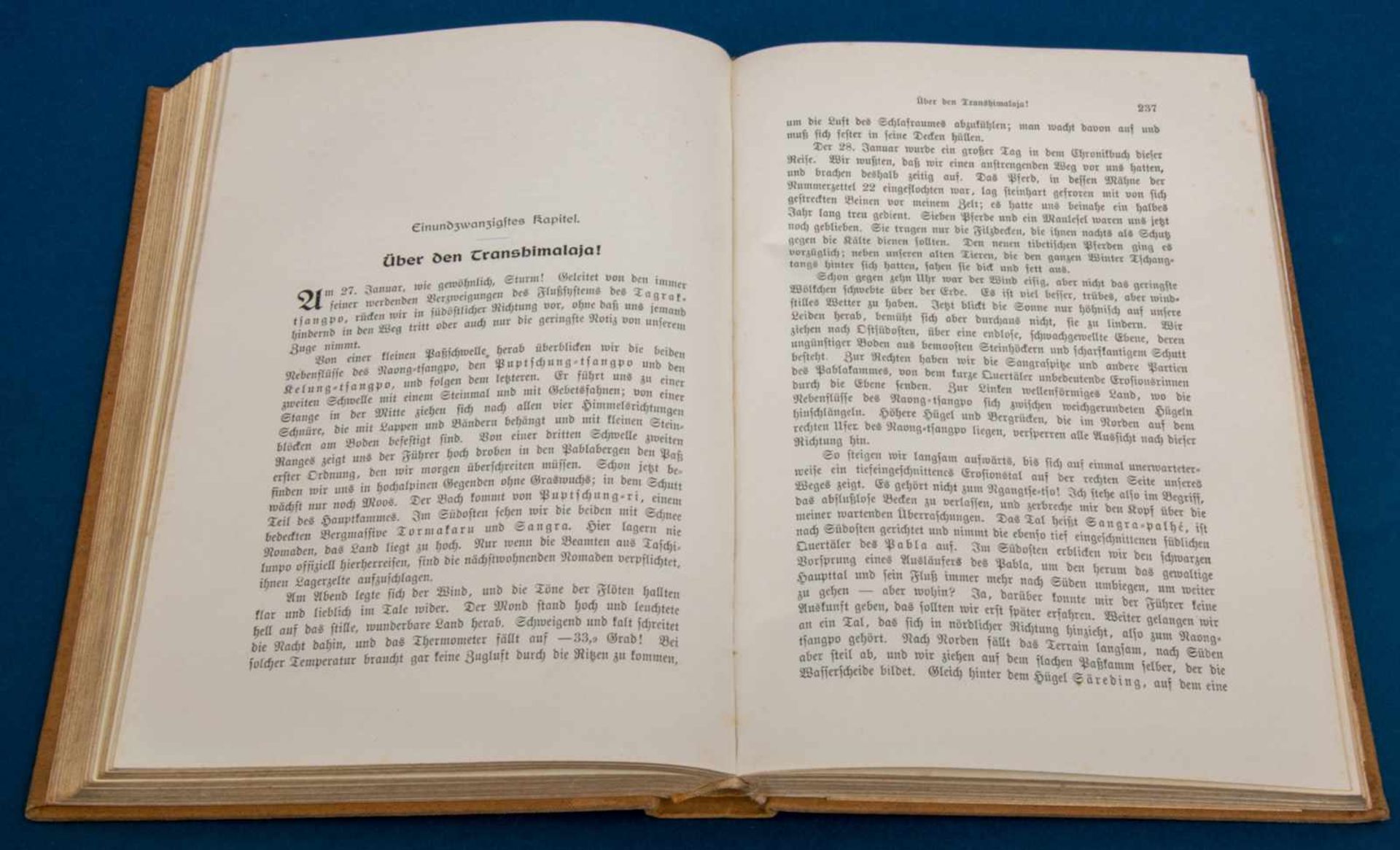 "Sven Hedin: Trans-Himalaya". 2 Bände 1909, Regal- & Lesespuren.- - -20.00 % buyer's premium on - Bild 5 aus 5