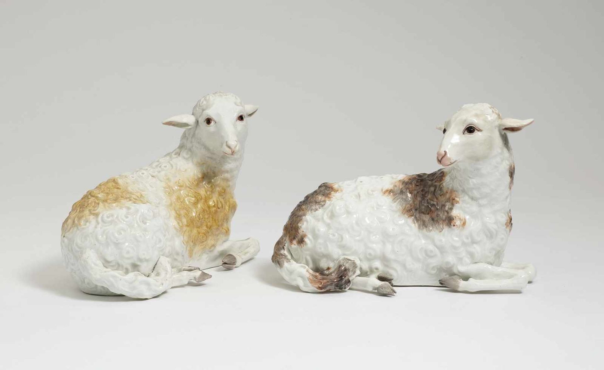 Two Lying SheepMeissen, circa 1760, model by J. J. Kändler and P. Reinicke Porcelain. One with