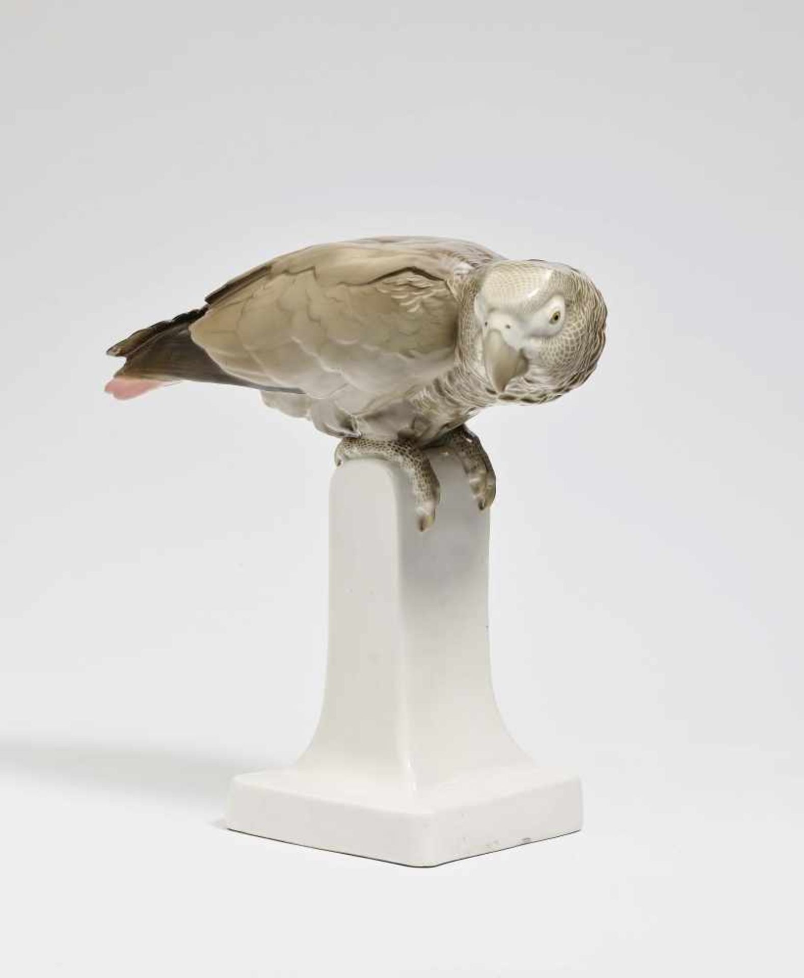 Grey parrotNymphenburg, 1911, Willy Zügel Porcelain, underglaze painting. Impressed mark of