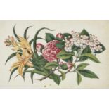 German School (?) 18/19th CenturyStudies of Flowering Plants Three watercolours, partially with