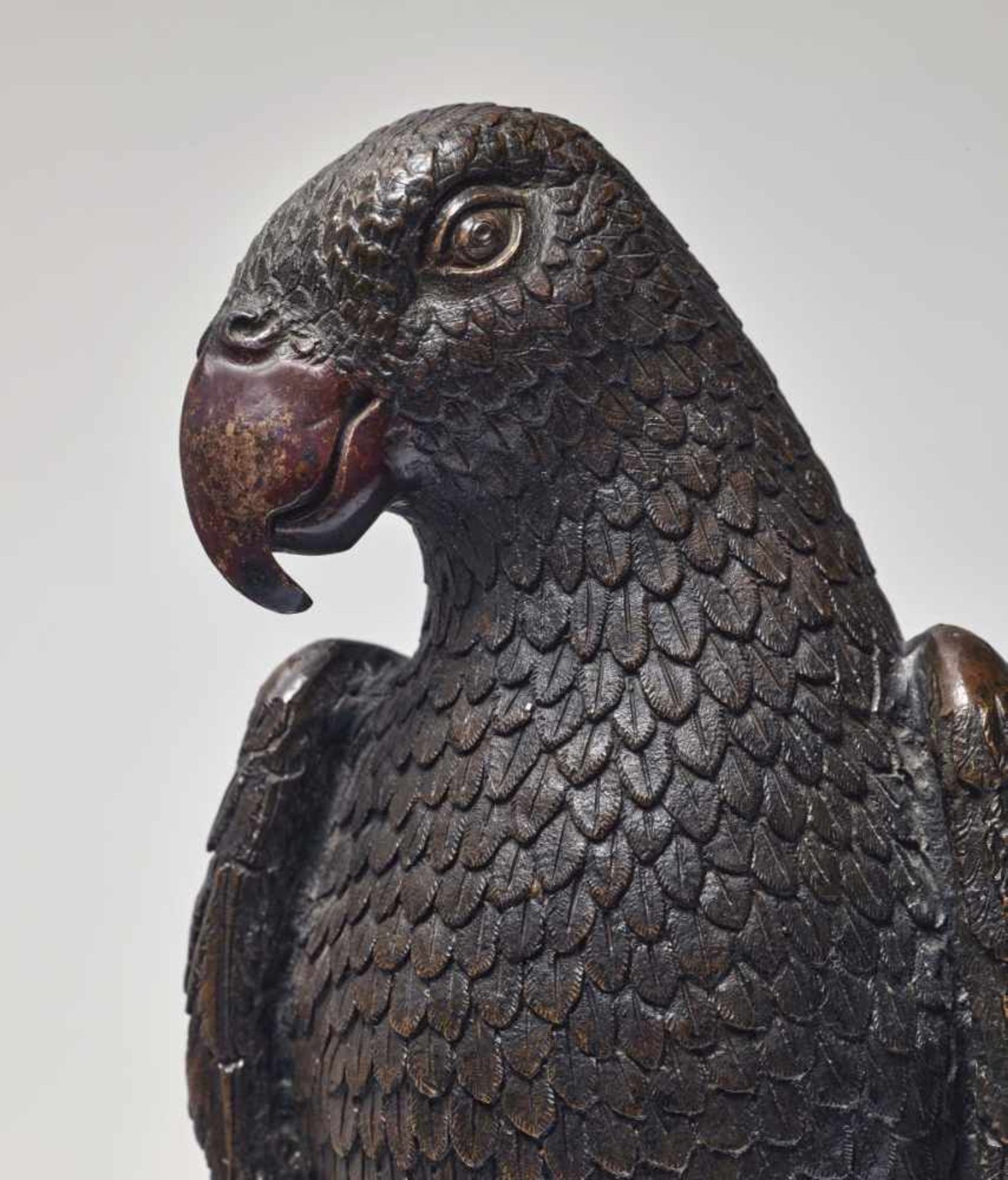 A ParrotSouth German, circa 1600 Perched on a branch, head slightly tilted to the right. Bronze, - Bild 3 aus 3