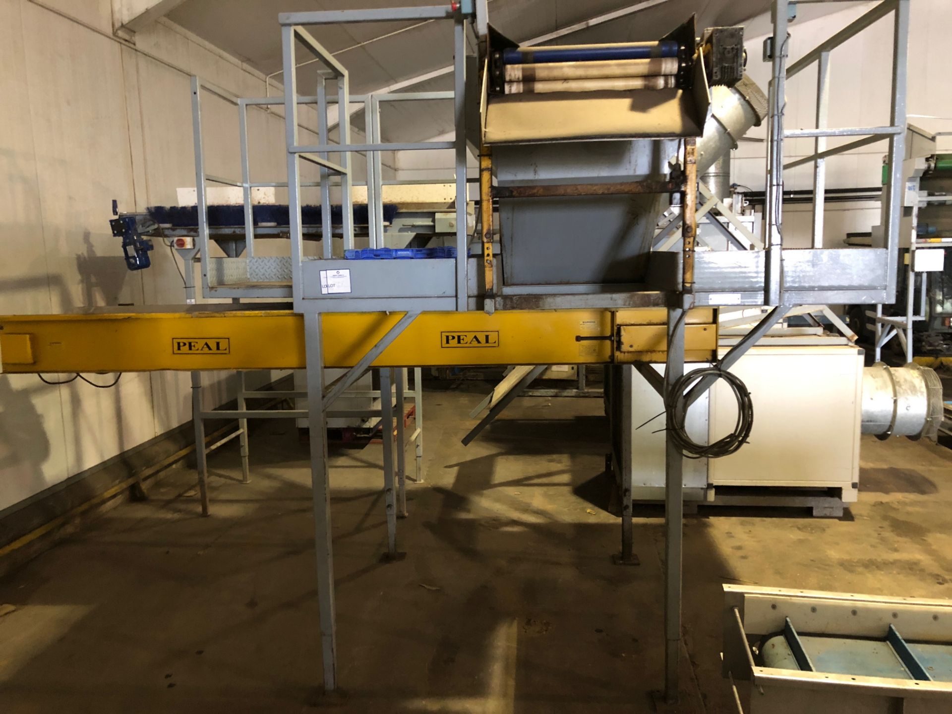 Peal inspection table with reject belt