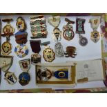 A group of 16 Masonic interest enamel and white metal medallions, including a boxed J R Gaunt