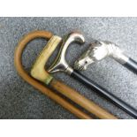 Three walking sticks one with silver metal handle; and a silver metal handled shoe horn the handle