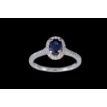 A SAPPHIRE AND DIAMOND OVAL CLUSTER RING, with sapphire of approx. 1.00ct, diamonds of approx. 0.