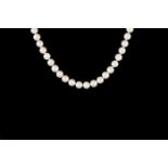 A CULTURED PEARL NECKLACE, with silver clasp