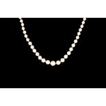 A GRADUATED CULTURED PEARL NECKLACE, with sterling silver clasp