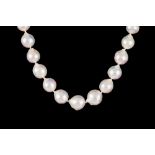 A SOUTH SEA CULTURED PEARL NECKLACE, with sterling silver openwork clasp. Pearls are 13 - 14.