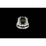 A TOURMALINE AND DIAMOND CLUSTER RING, with green tourmaline of approx. 6.53ct, surrounded by