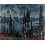 A painting depicting a nightly impression of the Bosphorus with cypresses in front