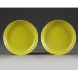 A pair of Chinese yellow dishes