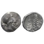 Southern Lucania, Metapontion, c. 325-275 BC. AR Stater