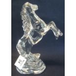 Waterford lead crystal equestrian study of a rearing horse. 25cm high approx. (B.P. 24% incl.
