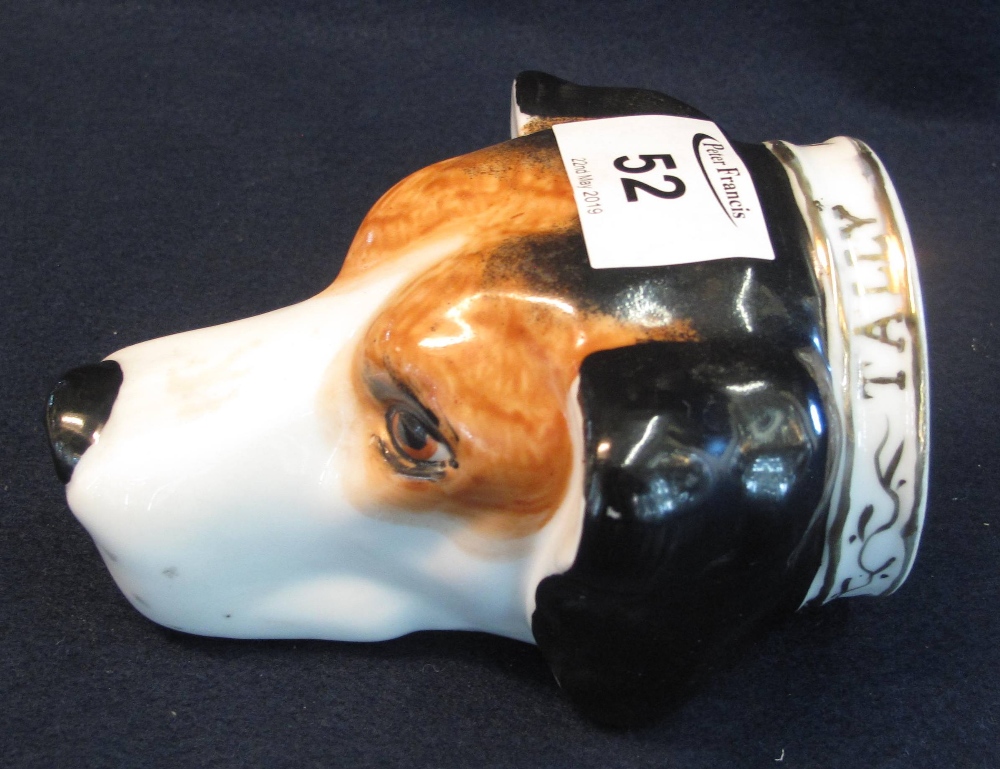 Large 19th century hounds head English porcelain stirrup cup overall painted features and gilded to