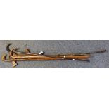 Bundle of assorted walking sticks riding whips, Alpenstock etc. (B.P. 24% incl.