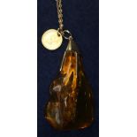 Large amber pendant on chain with coin. (B.P. 24% incl.