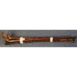 Bundle of assorted walking stick various. (B.P. 24% incl.