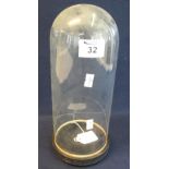 Glass dome with wooden base. Approximately 27 cm high and 13.5 cm in diameter. (B.P. 24% incl.