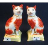 Pair of 19th Century Staffordshire pottery cats in seated pose with open legs,