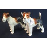 Two pottery studies of standing Airedale terriers, unmarked. 18cm high approx. (2) (B.P. 24% incl.