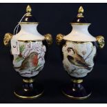 Pair of Caverswall porcelain urn shaped lidded vases with gilded rams head mounts,