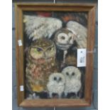 British school (20th Century), study of owls and owlets, oils on board. 35 x 24cm approx, framed.