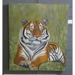 David Haines (Welsh contemporary), study of a tiger, signed and dated 2019, oils on canvas.