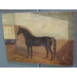 E.A Clark (British school 19th Century), hunter in a stall, signed and dated 1898. Oils on canvas.