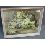 Amy C Reeve-Fowkes, study of primroses and rocks, signed and dated 1932, watercolours.