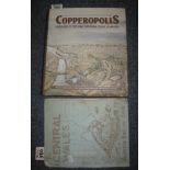 Copperopolis 'Landscapes of the early Industrial period in Swansea' by Stephen Hughes for the Royal