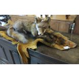 Taxidermy - specimen recumbent fox, together with a wild dog animal skin rug. (B.P. 24% incl.