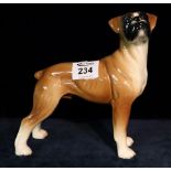 Ceramic study of a standing boxer dog. (B.P. 24% incl.