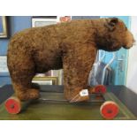 Early 20th Century Steiff pull along child's straw filled bear with glass eyes and distressed