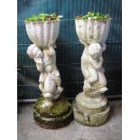 Pair of composite planters having cherub and dolphin mounts standing on a circular stepped base.