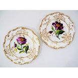 A pair of probably English Coalport porcelain hand decorated dishes in the William Billingsley