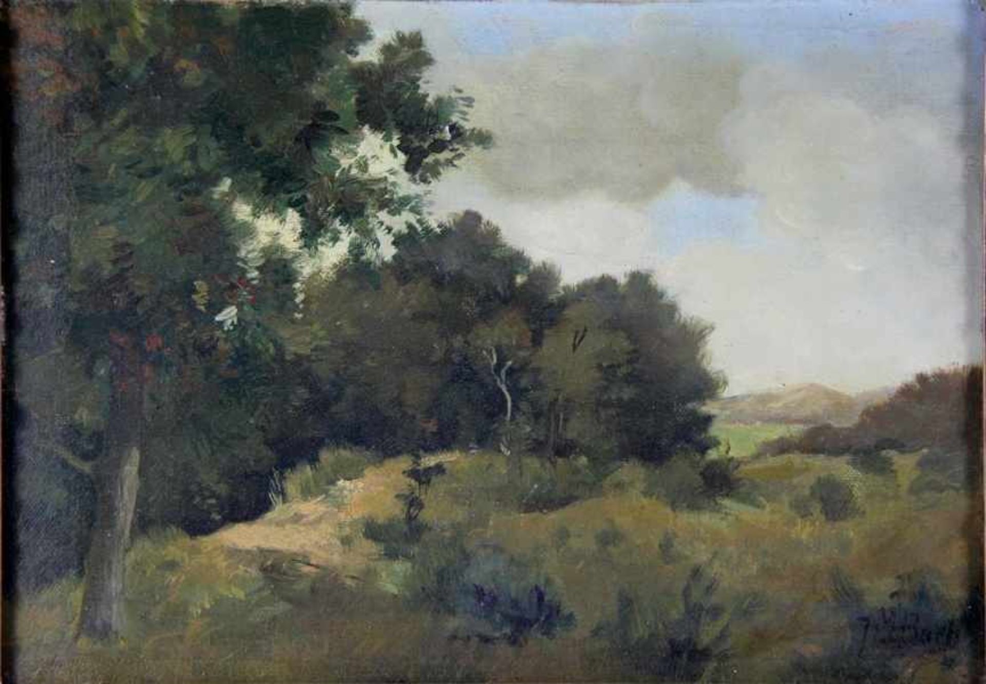 Bach, Johannes Martinus1866-1943, Landschaft mit sanften Hügeln, links einige Bäume, im