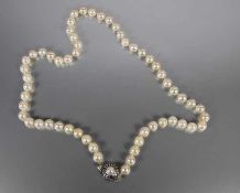 PerlenketteSchließe 835er Silber, Perlenkette, Gebr.sp., L. 57