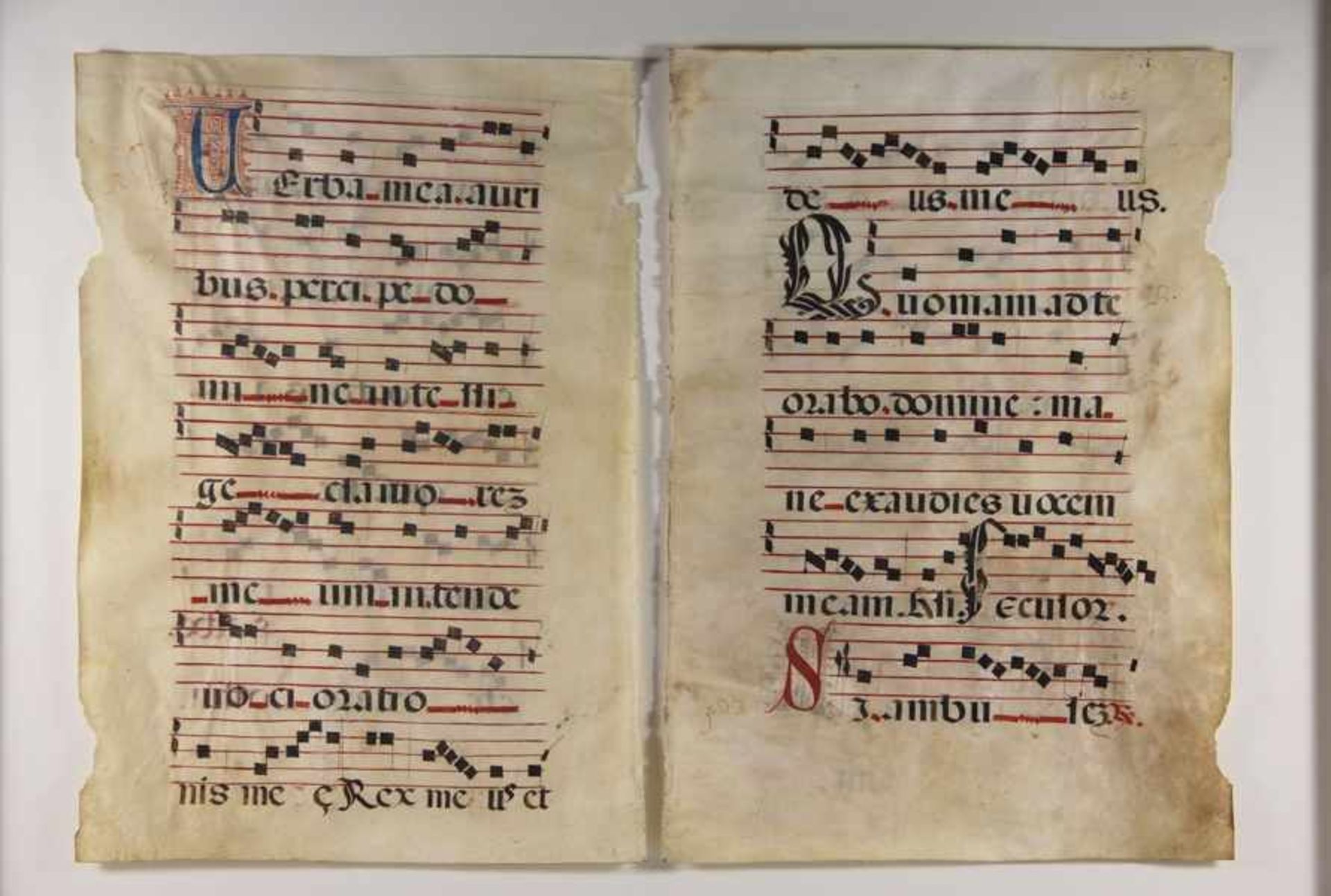 antike Pergament-Notenseitenwohl 17. Jhd., 2 Pergamentseiten, wohl Antiphonar, Noten und lat.