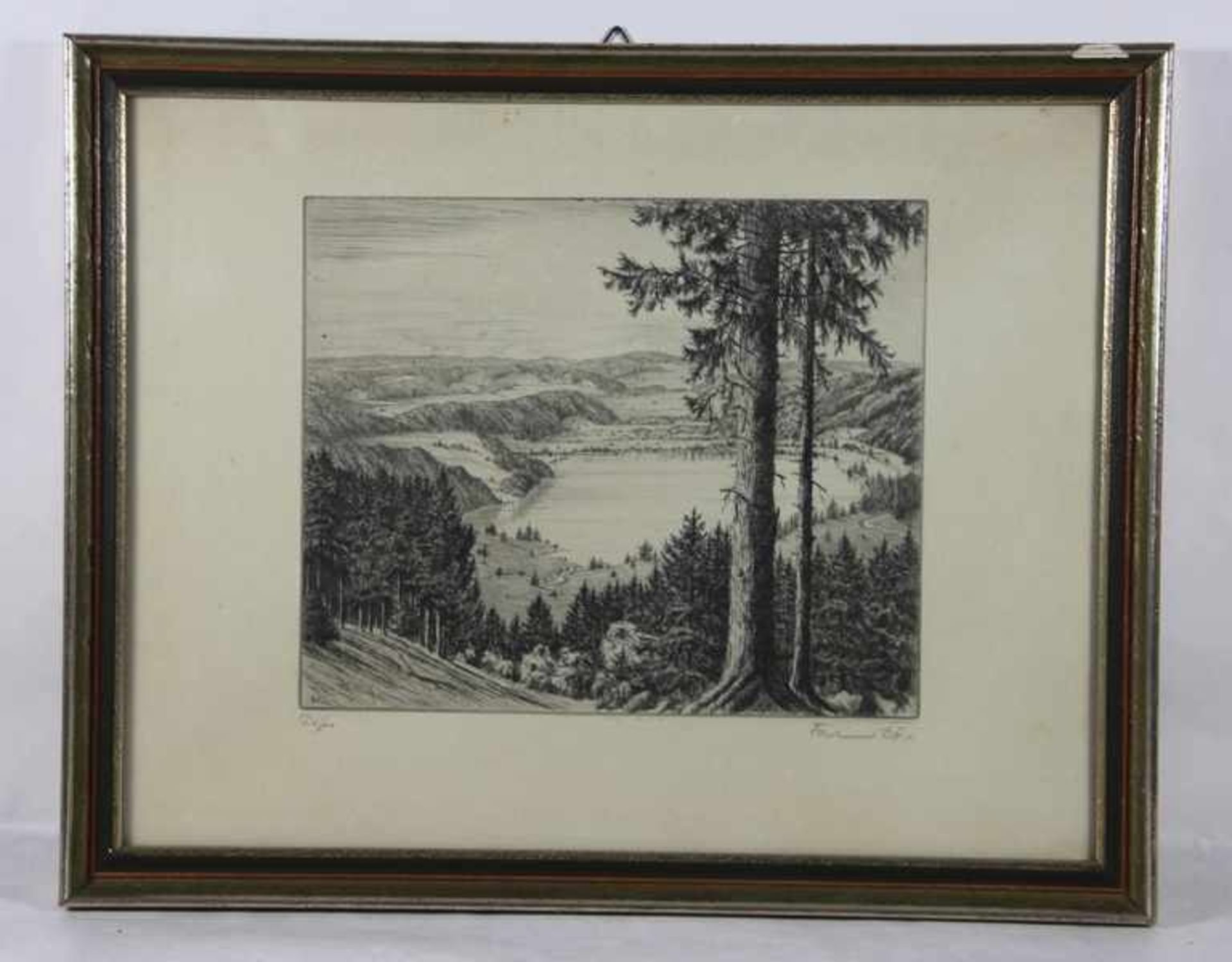 Dörr, Ferdinand1880-1968, Radierung, erhöhter Blick auf einen See in hügeliger Landschaft, im