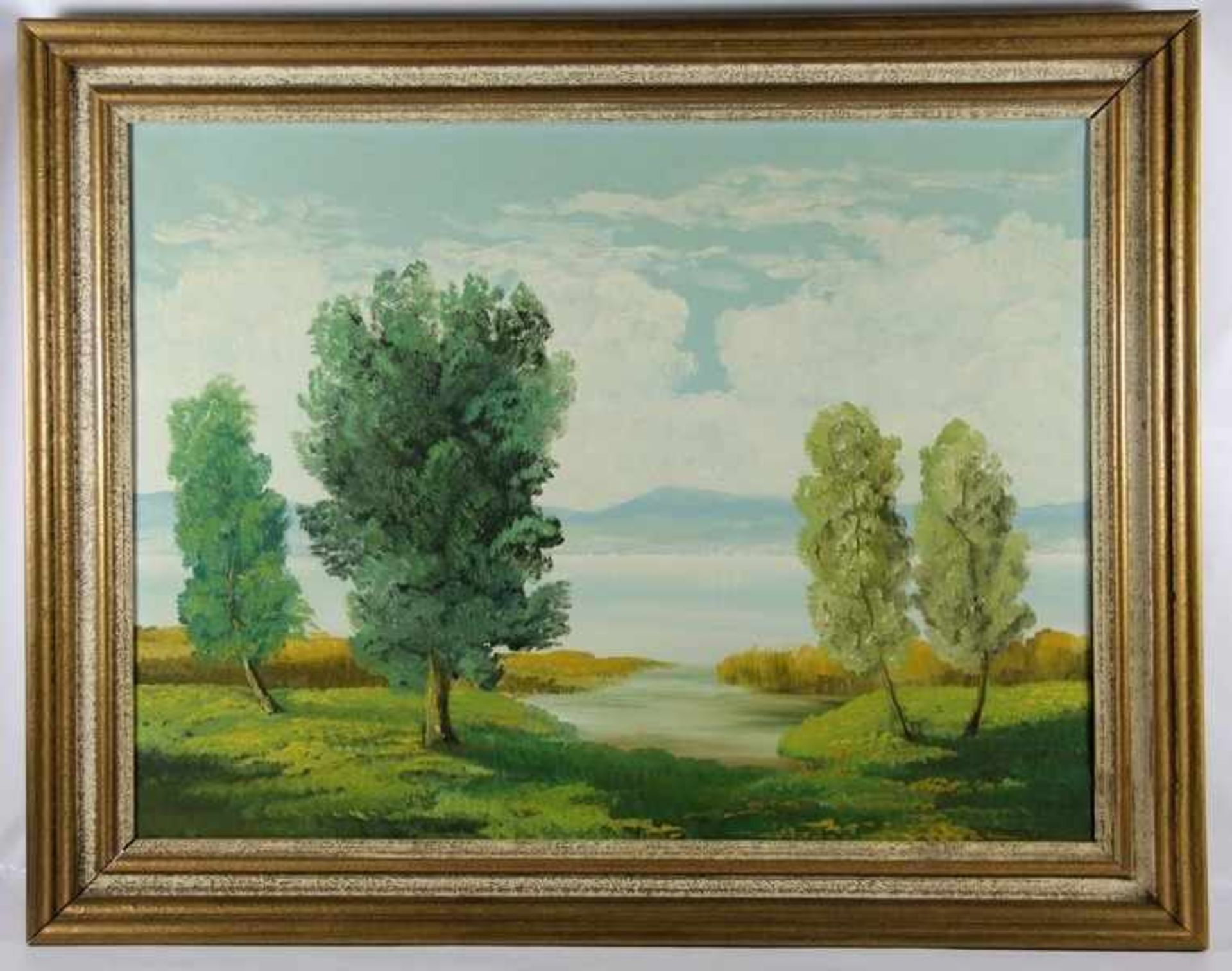 Bachmann, H.20. Jhd., Partie am Bodensee, Bäume auf einer Wiese am schilfbestandenen Ufer, Blick
