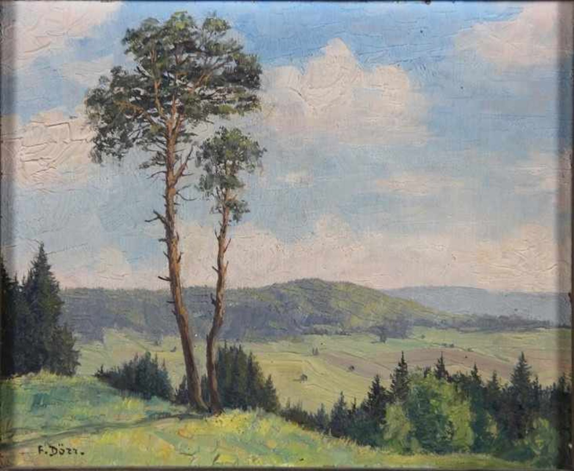 Dörr, Ferdinand1880-1968, sommerliche Hügellandschaft, z.T. bewaldet, im Vordergrund ein Baum, unten