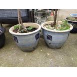 Pair of Garden Planters