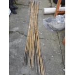 Quantity of Bamboo Growing Canes