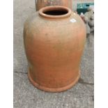 Large Terracotta Rhubarb Forcer