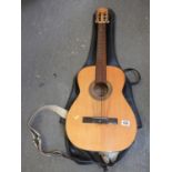 Acoustic Guitar in Case