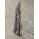 Quantity of Bamboo Growing Canes